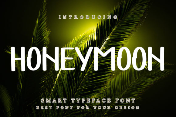 Honeymoon Display Font for Modern Web Design